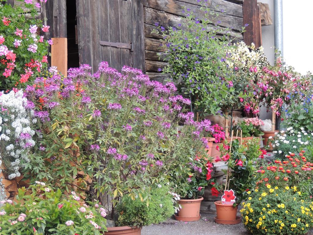Haus Liaun 2 Appartement Brienz  Buitenkant foto